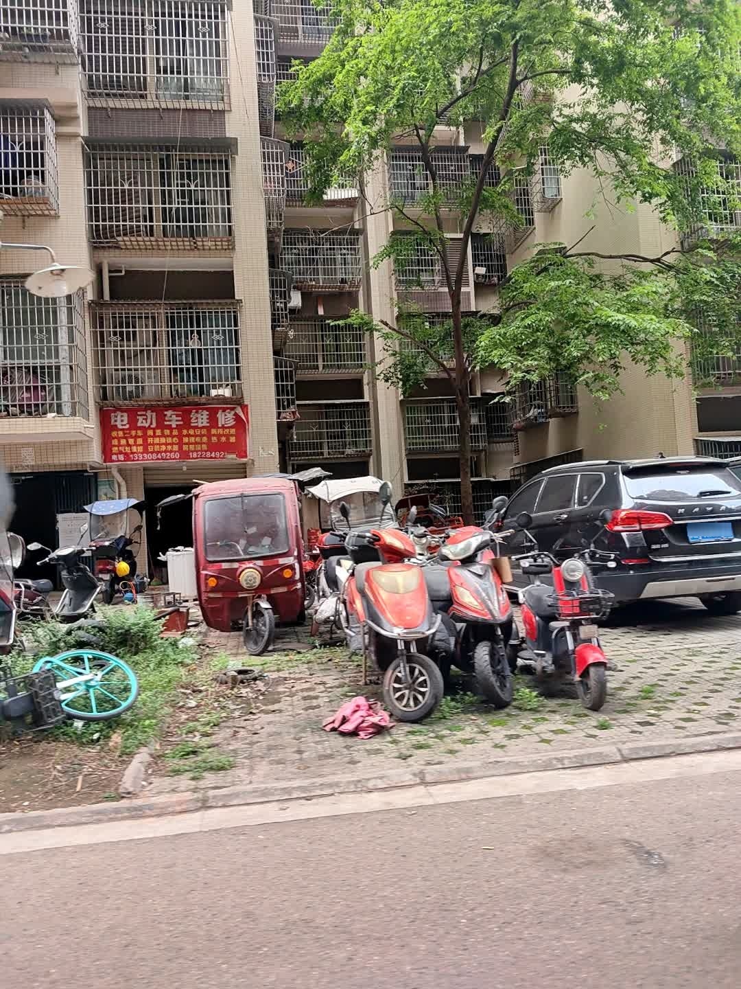 电动车维修(雷音花园店)