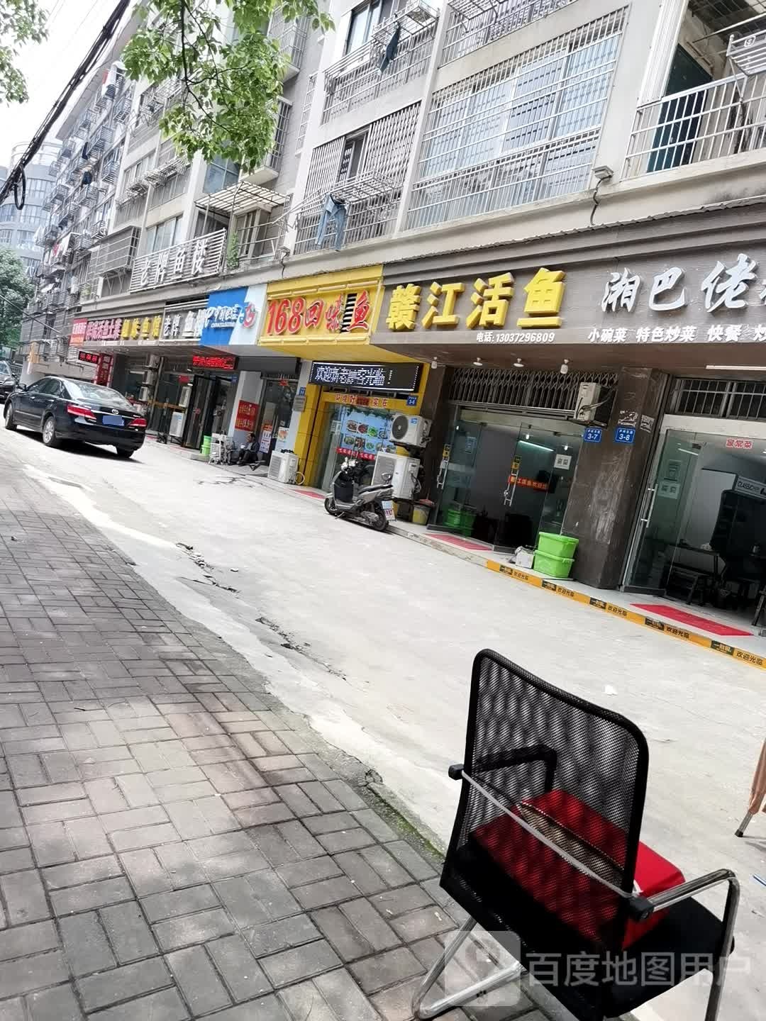 赣江活鱼