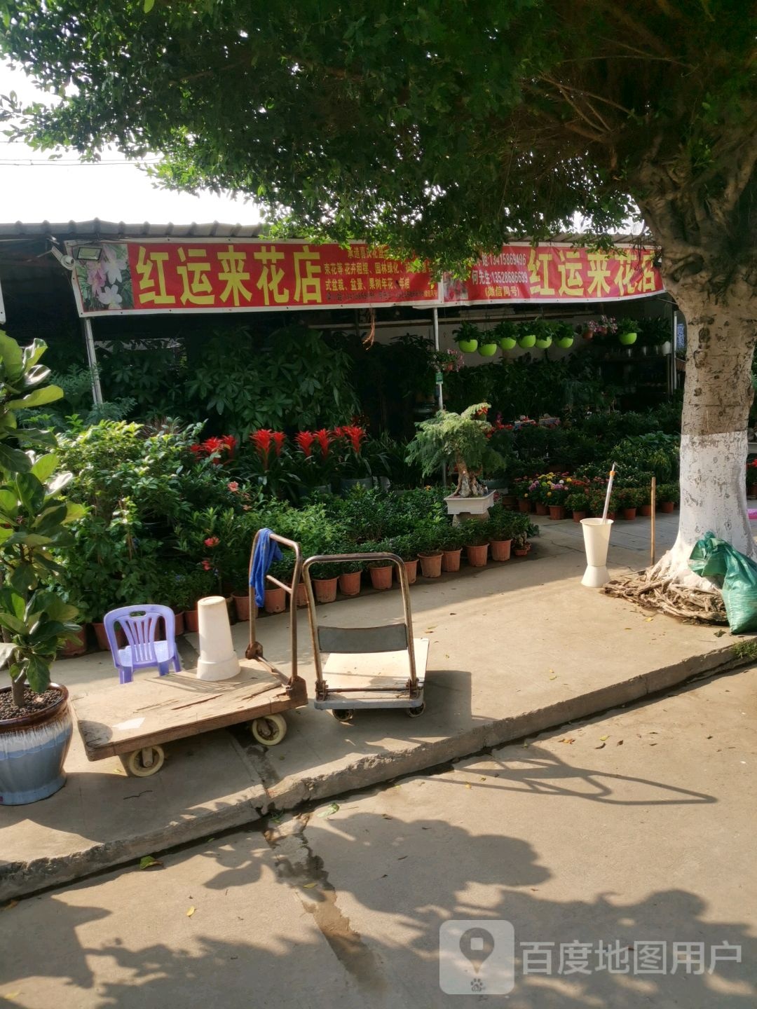 红运来花店