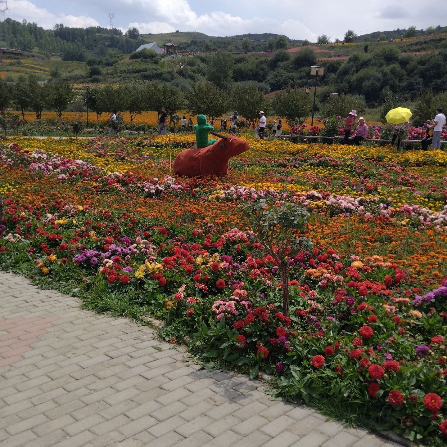 民和七里花海景区