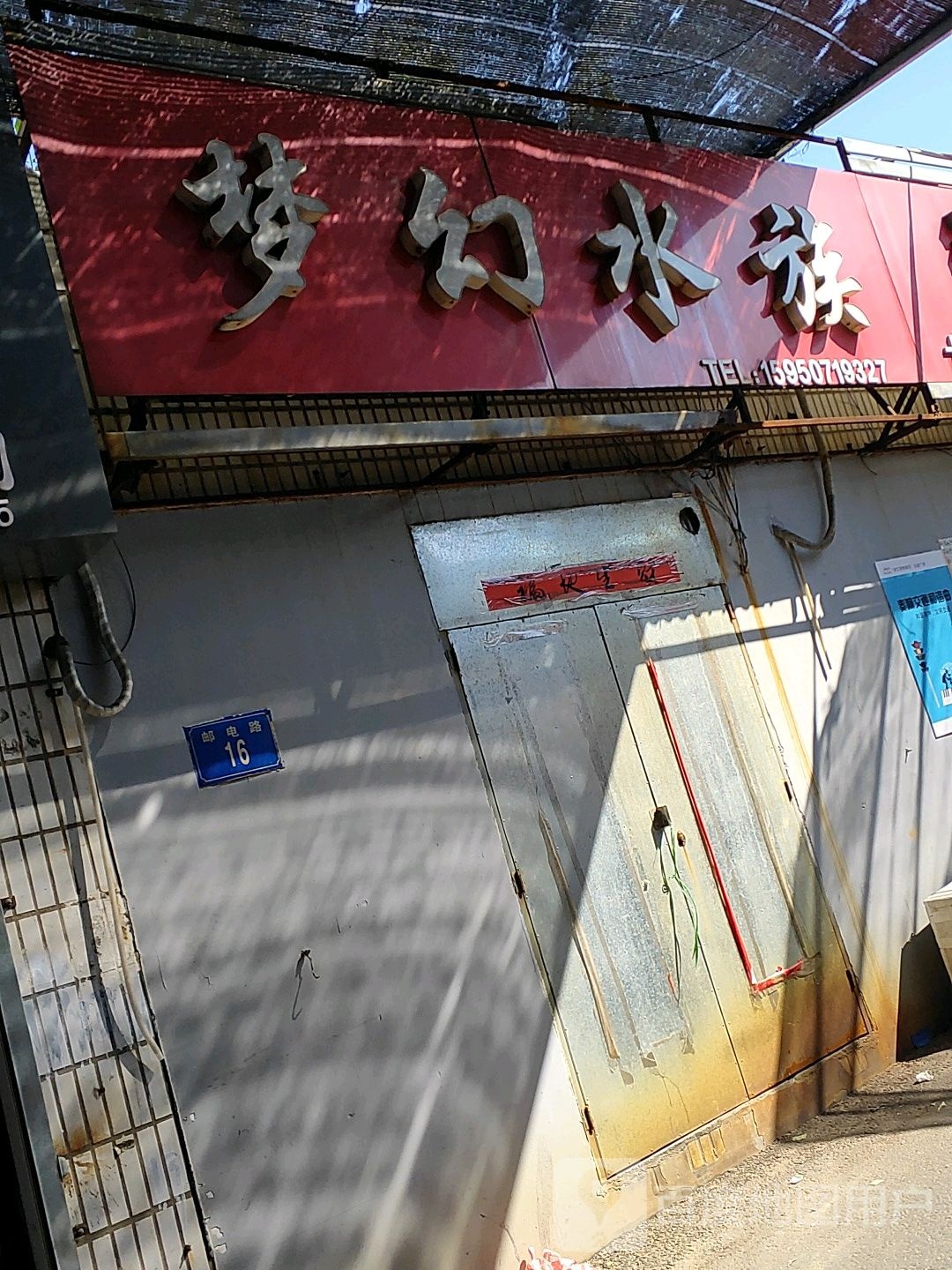 梦幻水族
