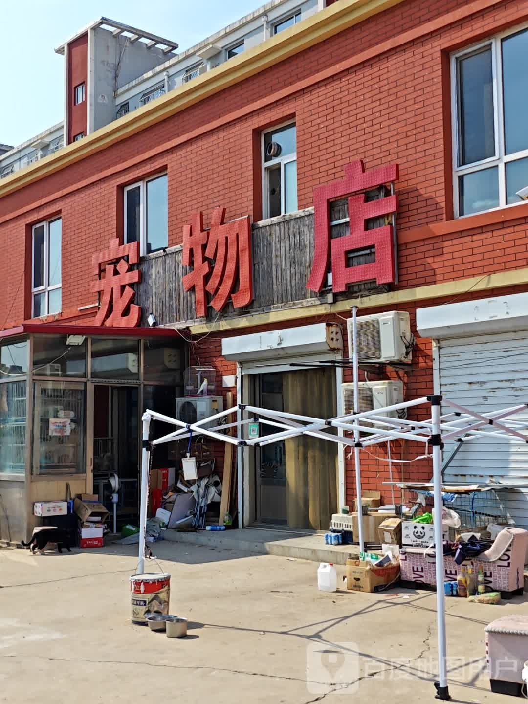 优尼宠物店