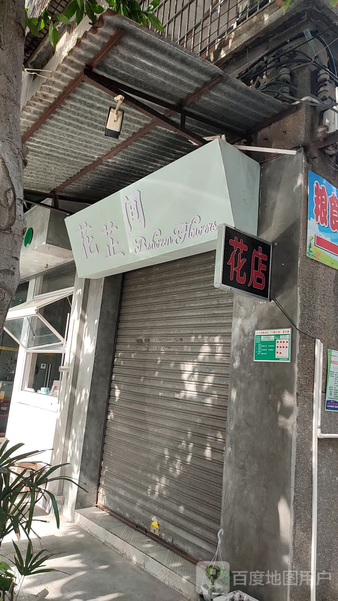 花芷间