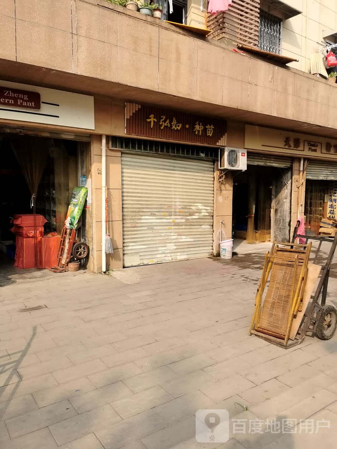 天绿种苗公