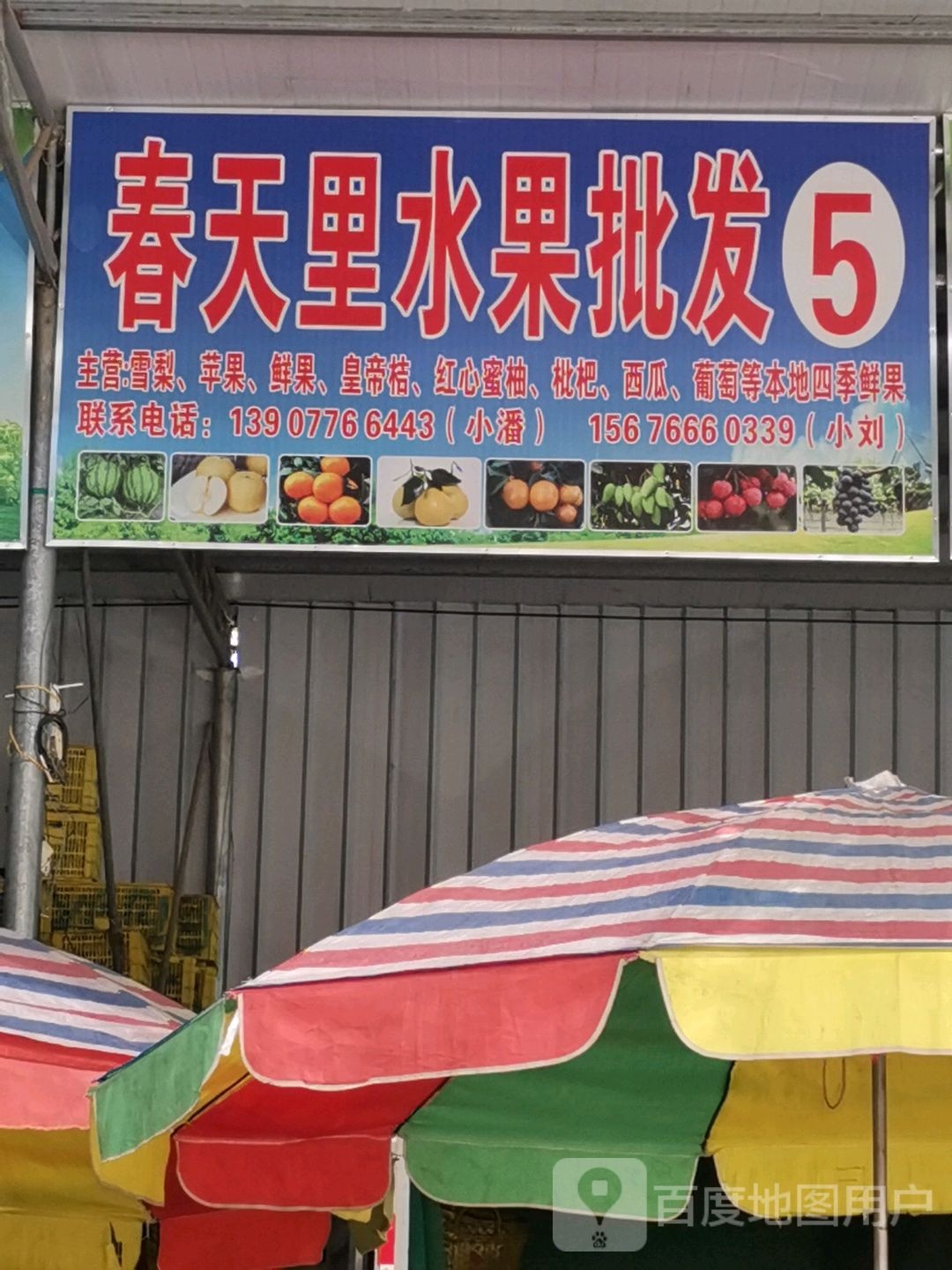 春天里水果批发