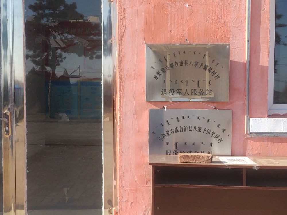 辽宁省阜新市阜新蒙古族自治县八家子镇果树村退役军人服务站