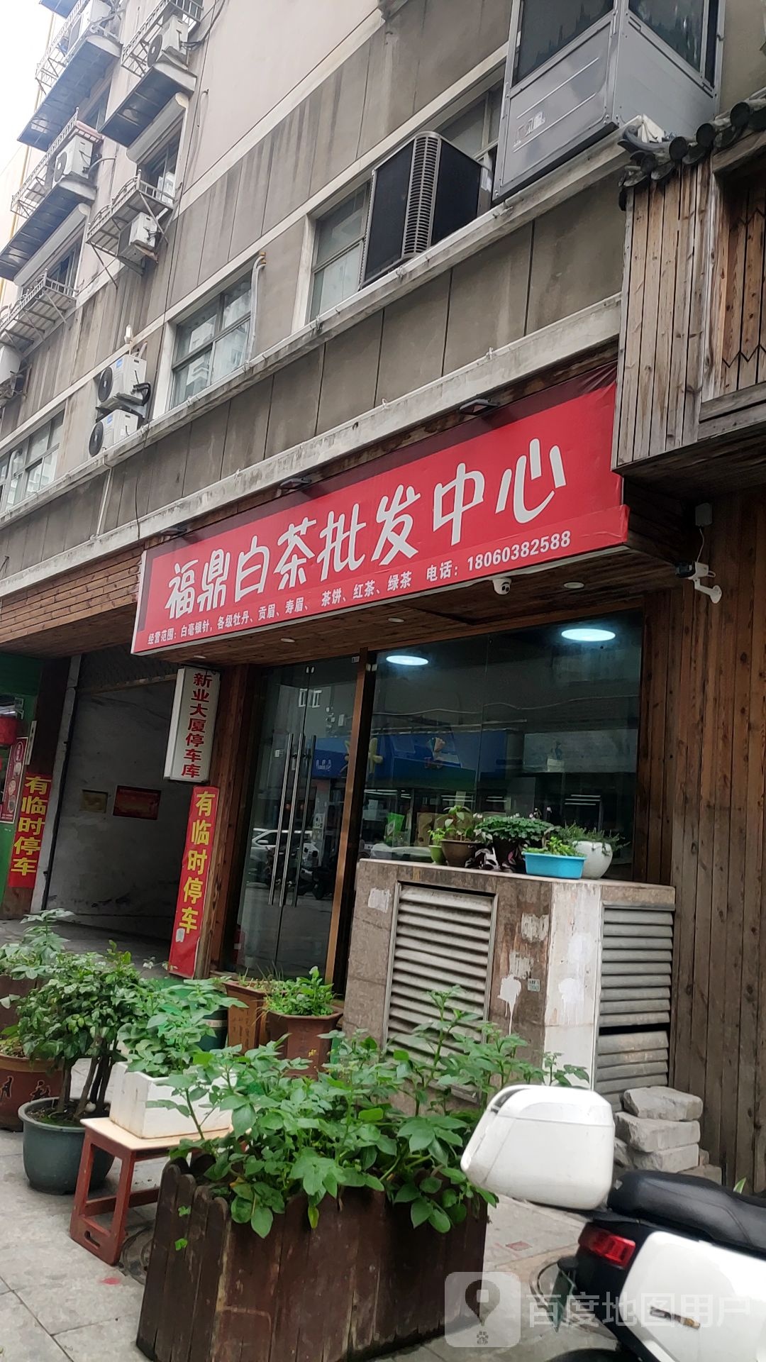 福鼎白茶批发中心