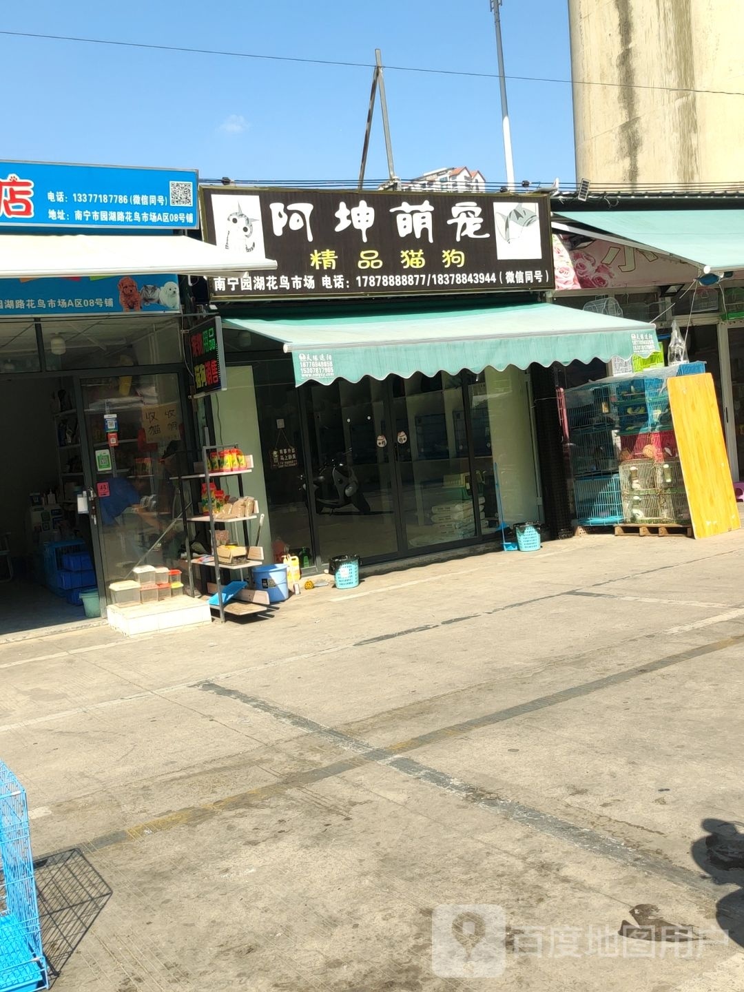 阿坤萌宠精品猫狗