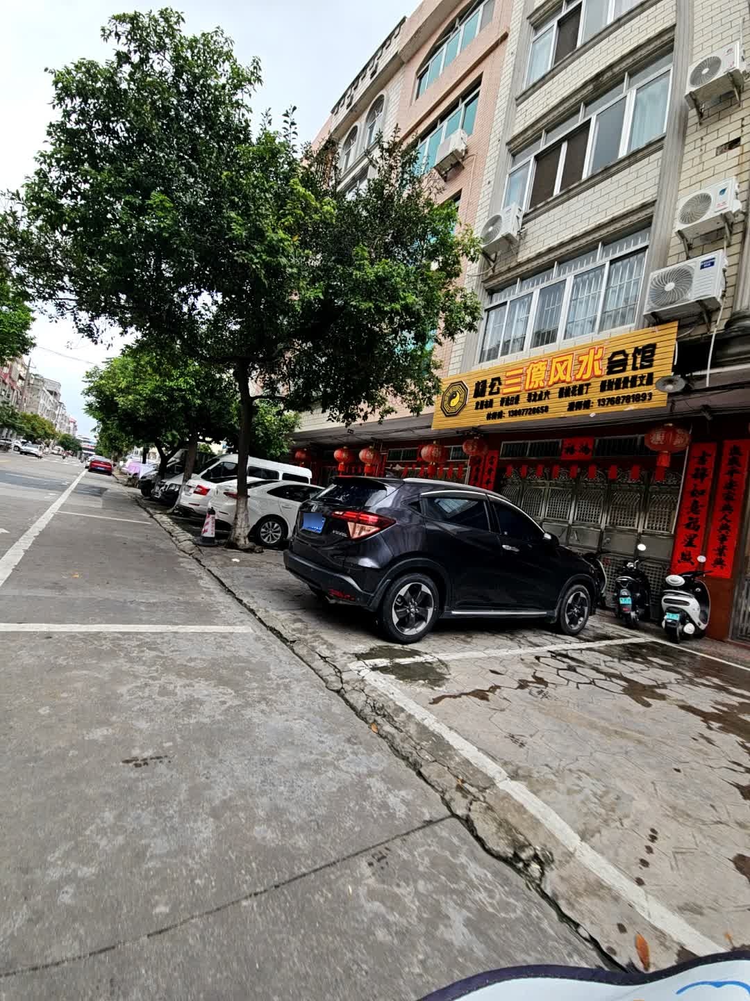 杨公三僚风水会馆