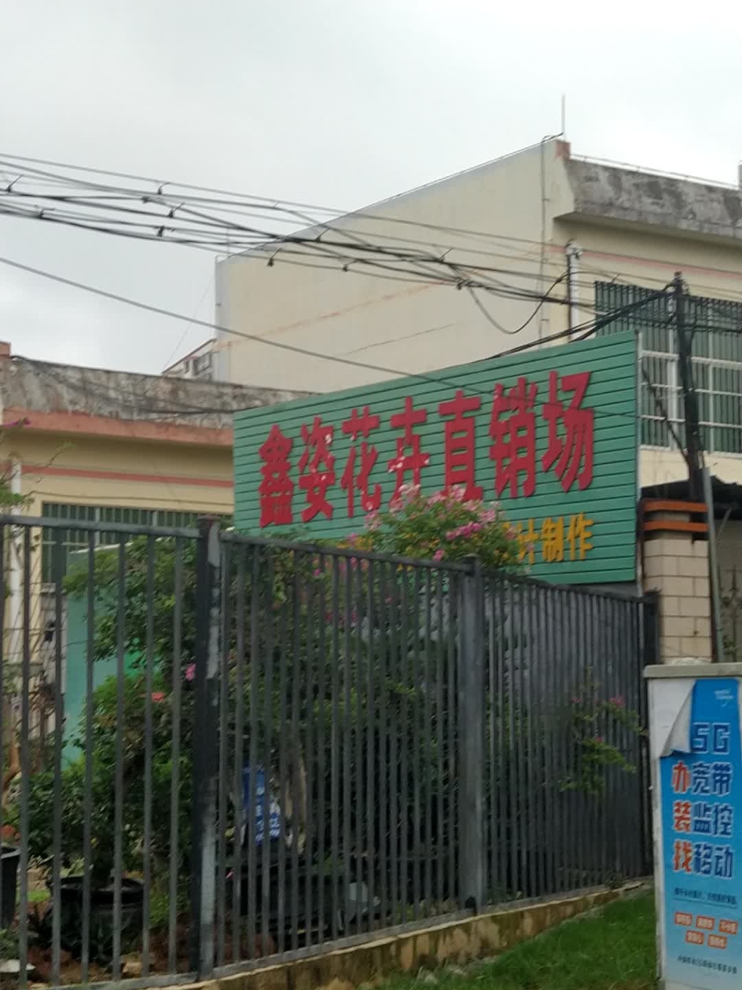 鑫姿花卉直销场