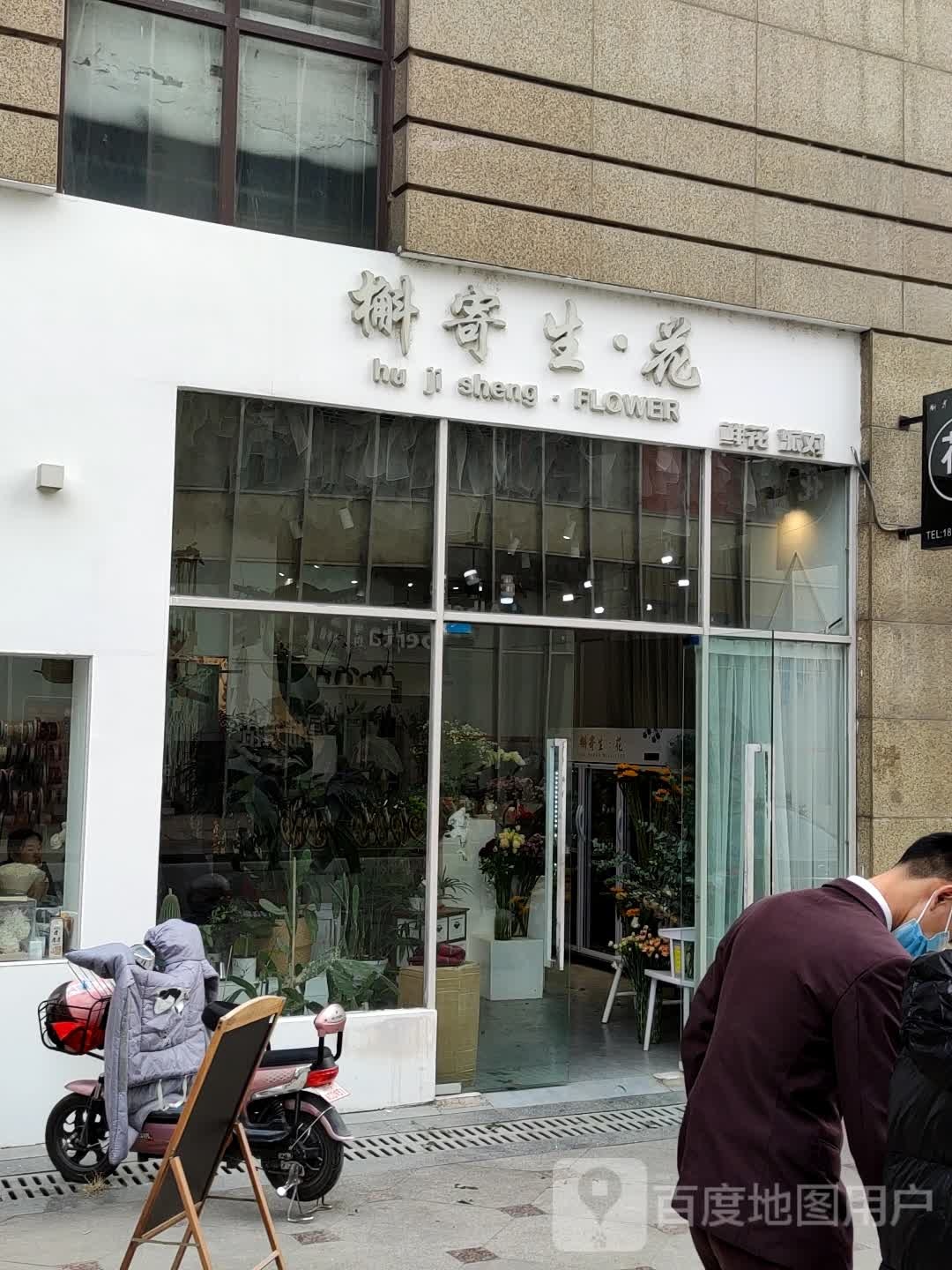 槲寄生花(洋洋百货德阳南街店)