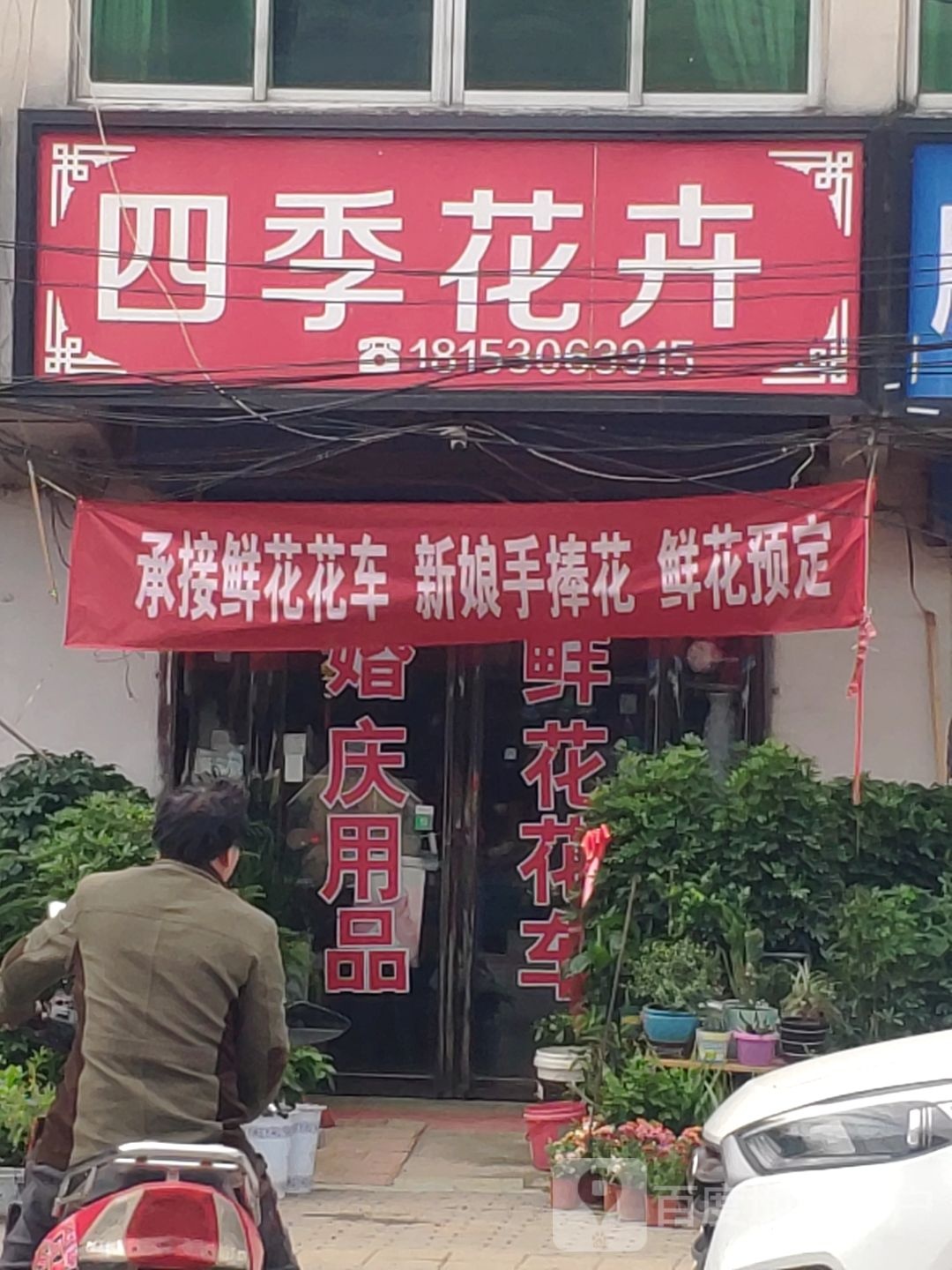 平舆县万冢镇四季花卉(人和大道店)