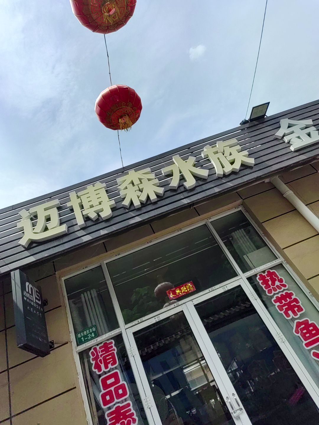 迈博森水族(锦东花鸟鱼市场店)