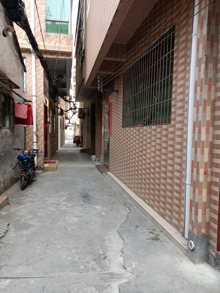 西河村长林十字街11号