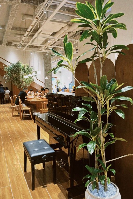 小叶海棠(605店)
