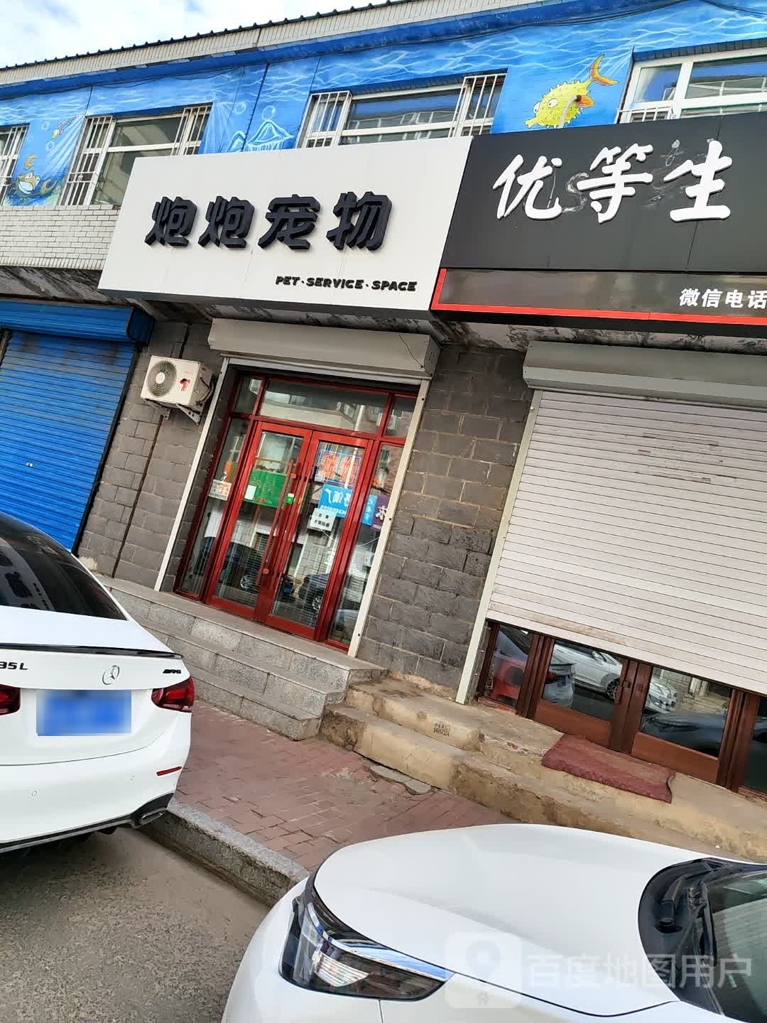 炮炮宠物