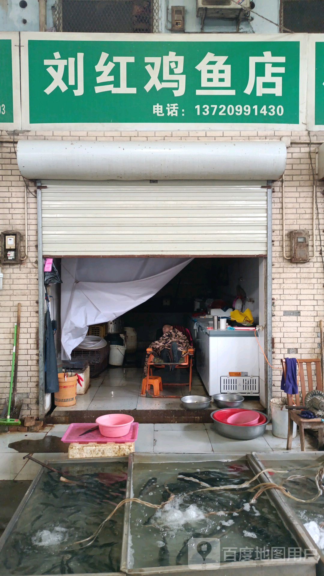 刘红鸡鱼店