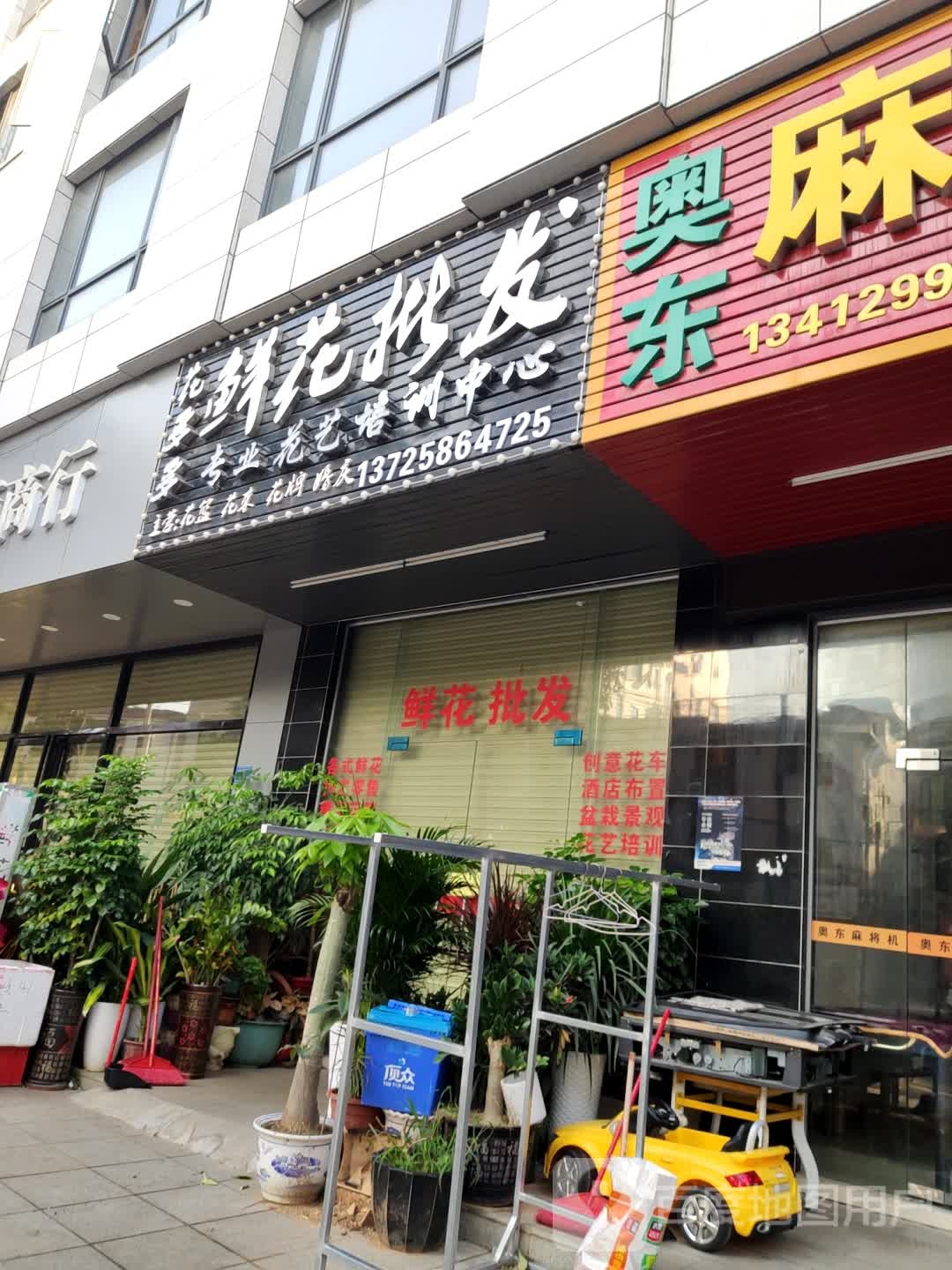 花多多鲜花批发(振华路店)