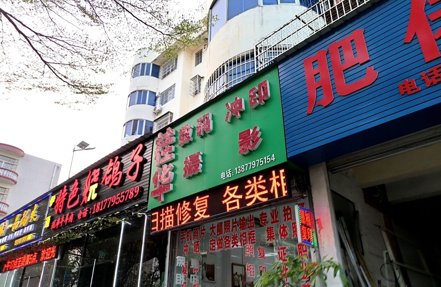 伊通·特色烧鸽子(赛普花园店)