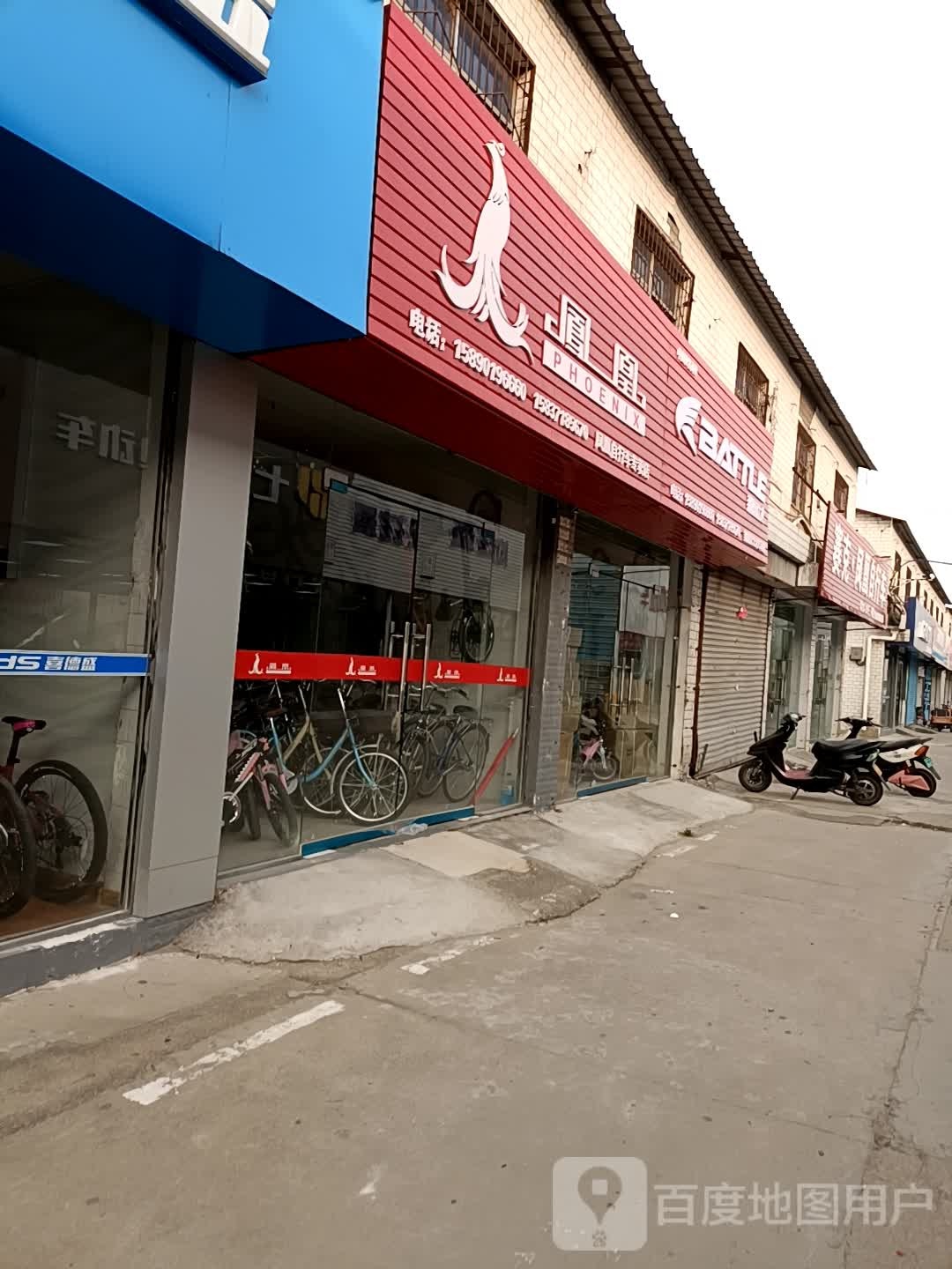 赛克凤凰自行车(天明路店)