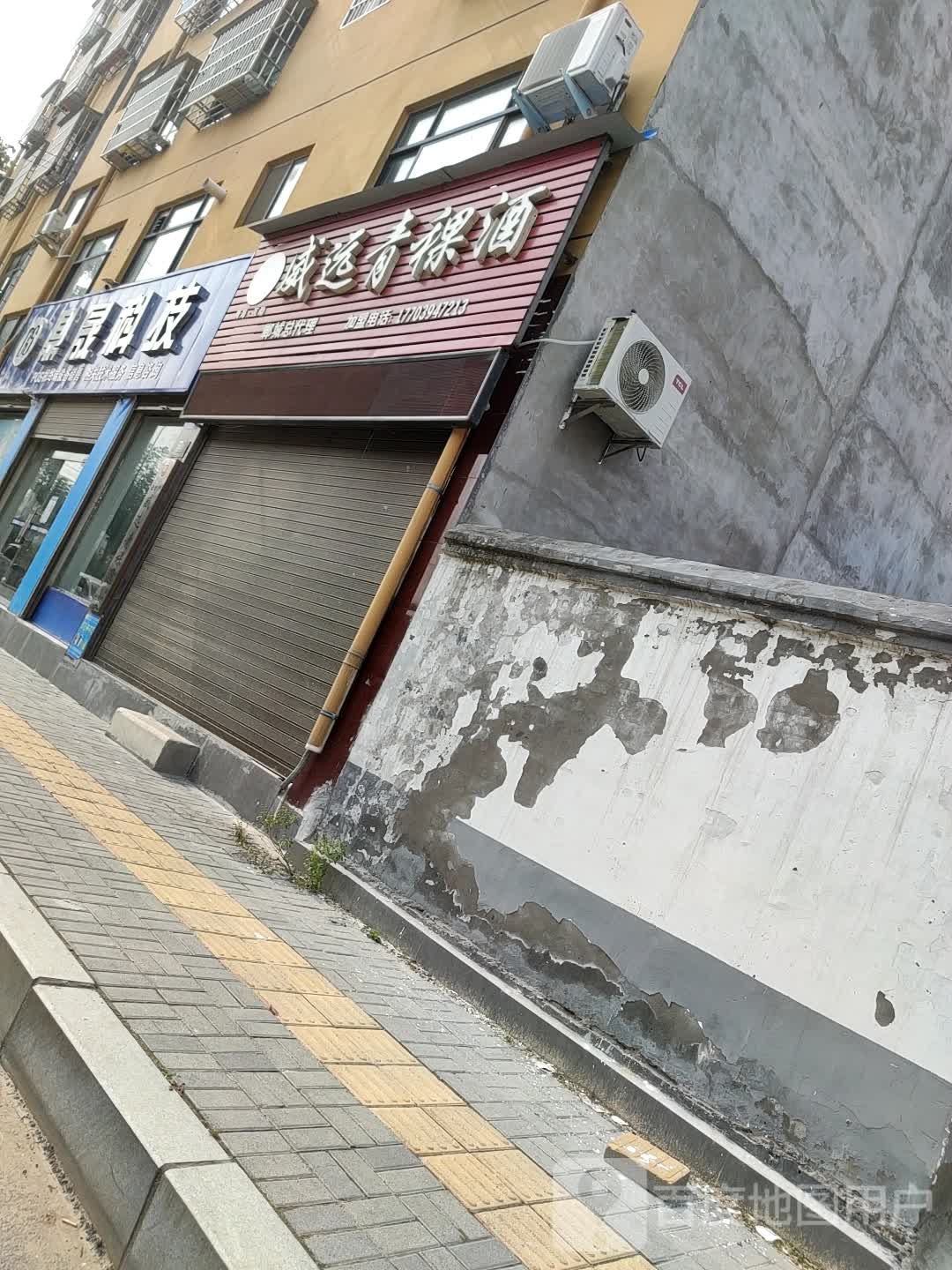 郸城县威远青粿酒专卖店(世纪大道店)