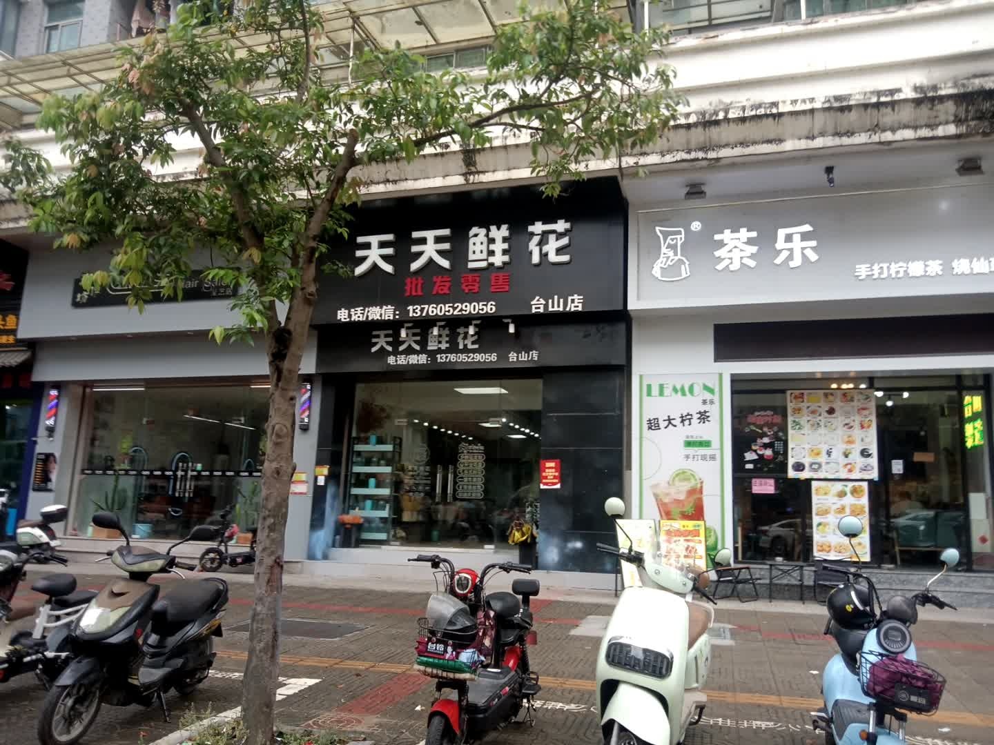 天天鲜花(台山店)