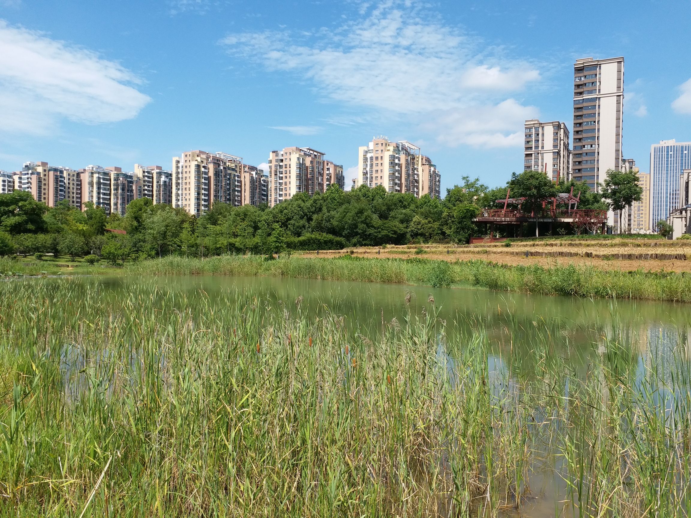 四季花海城市花园