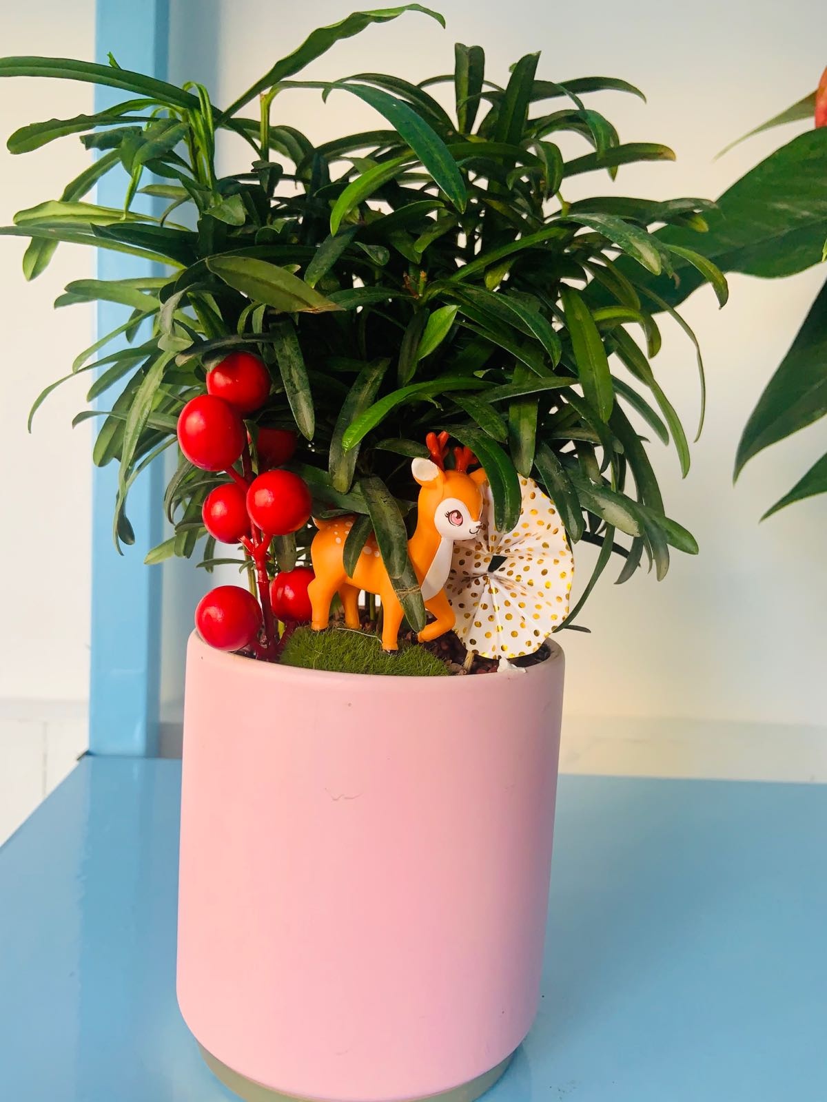 小姐姐的花店
