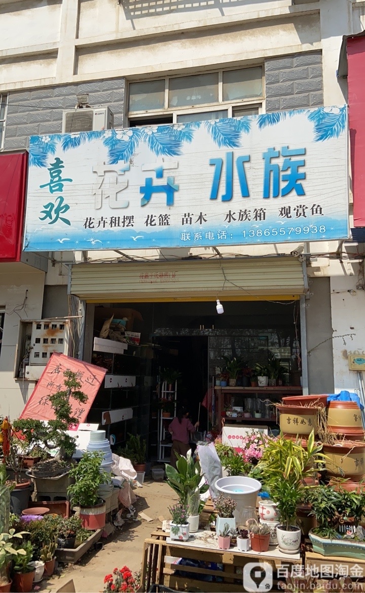 喜欢花鸟