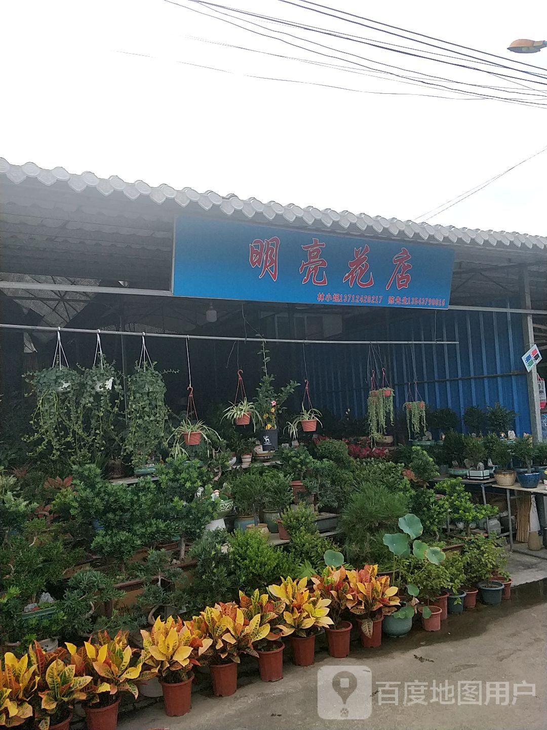 明亮花店