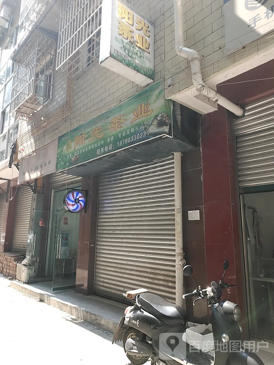 阳光茶业