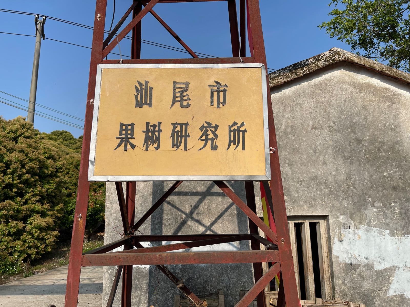 汕尾市果树研究所