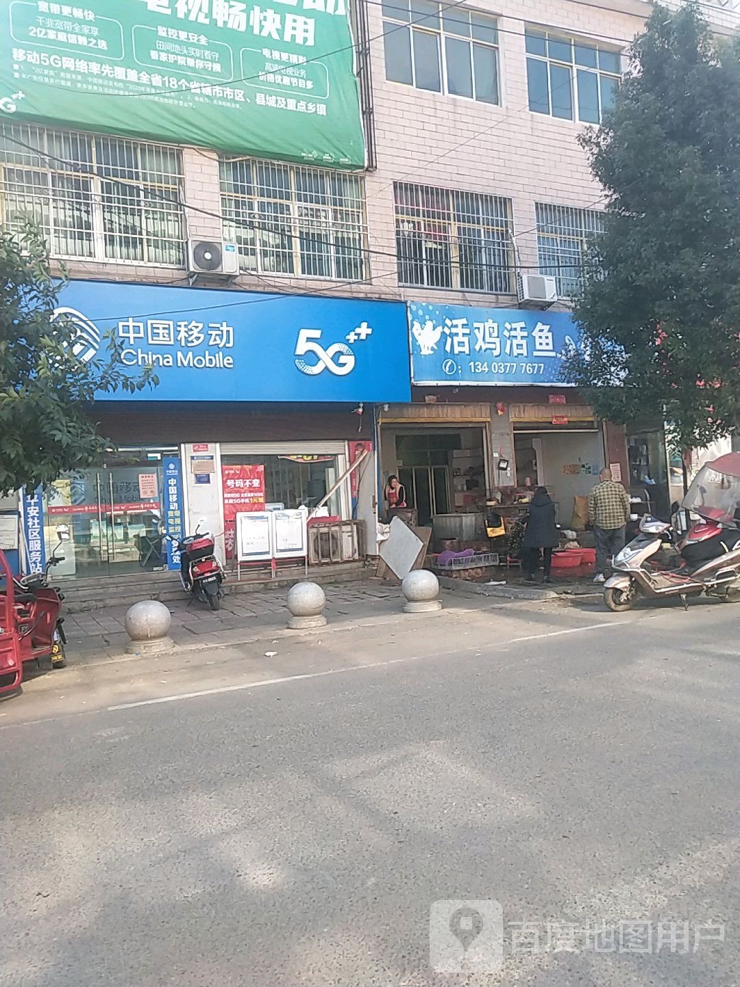 活鸡活鱼(府前路店)