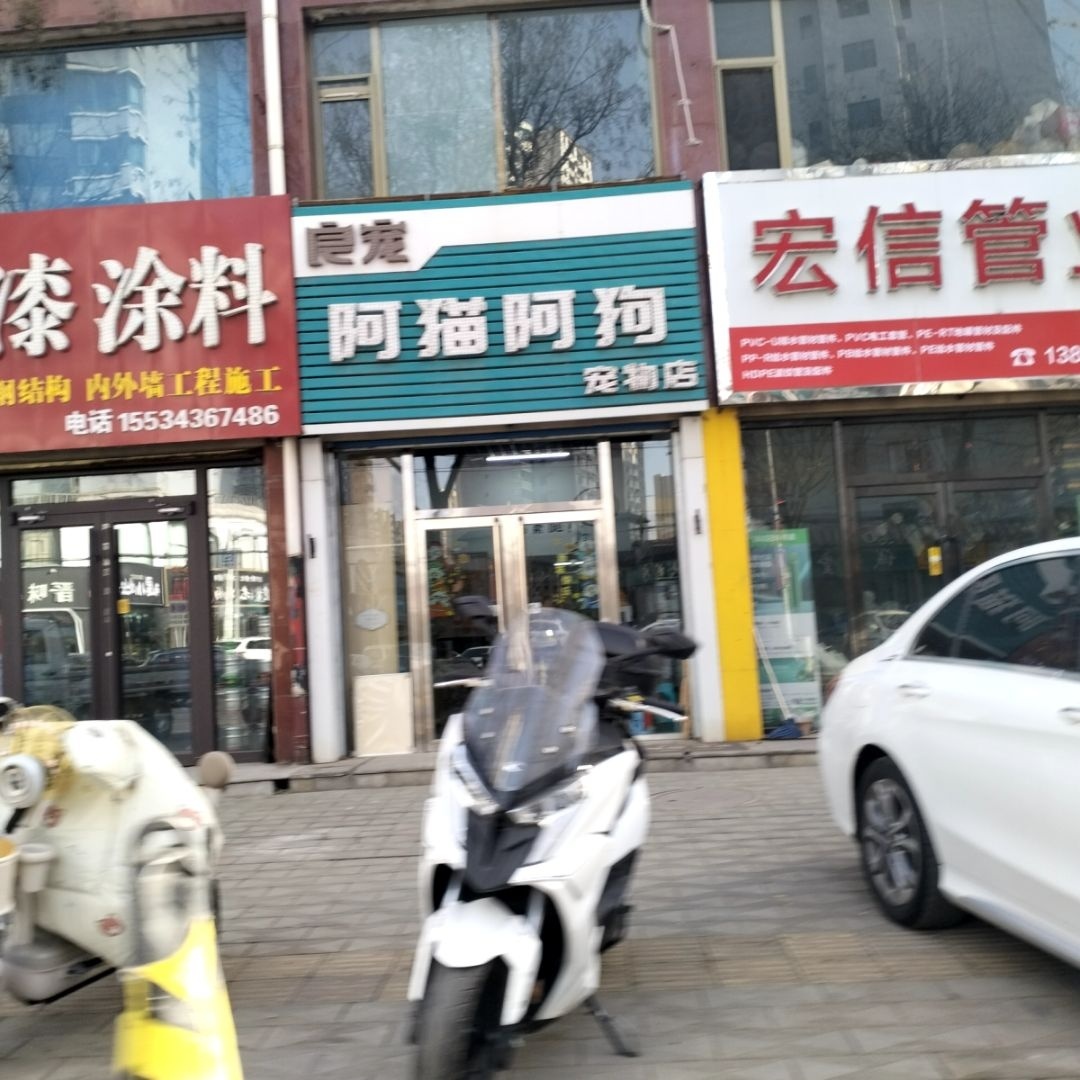 阿猫阿狗宠物店(开元花园店)