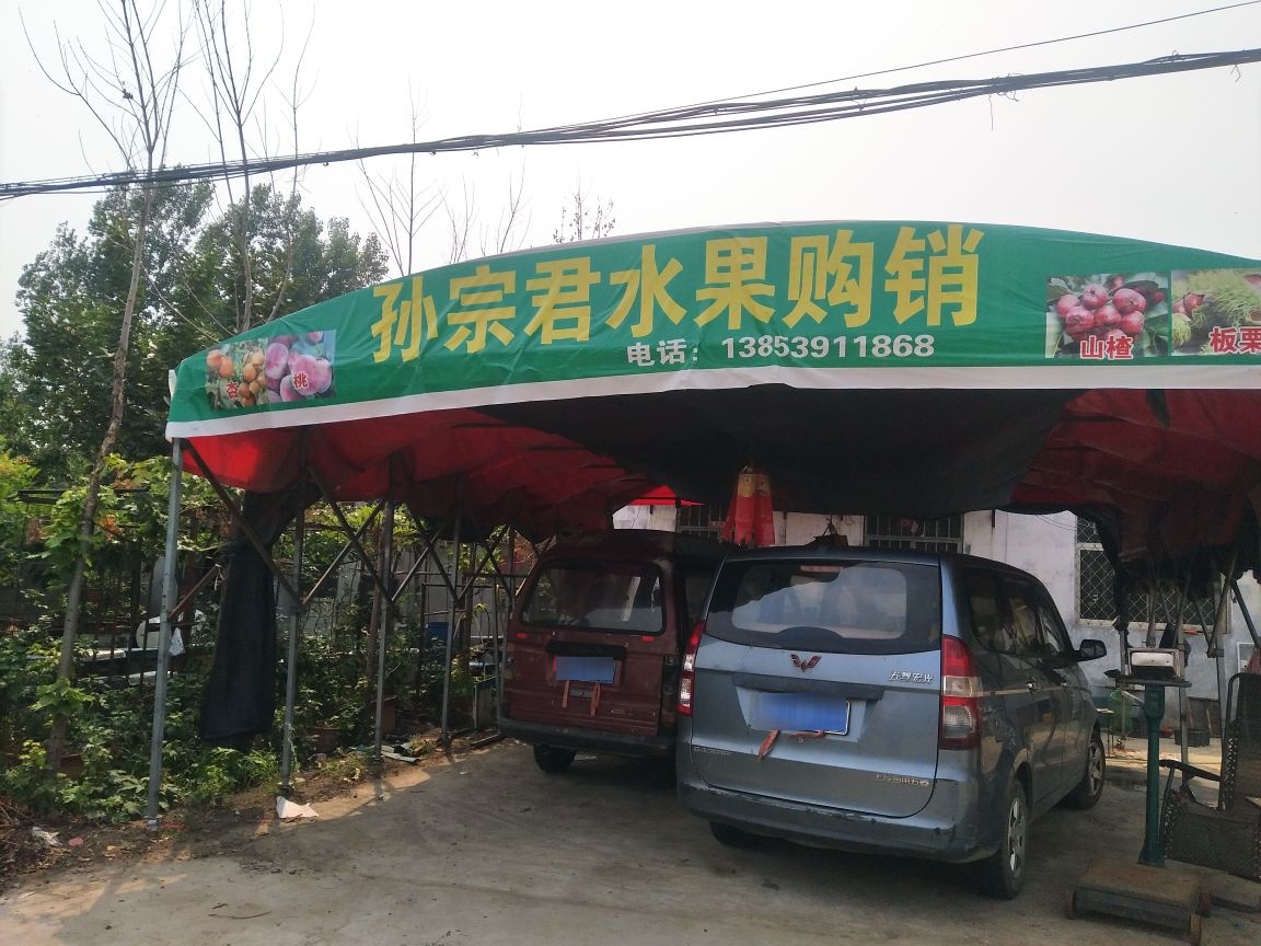 孙宗君水果购销