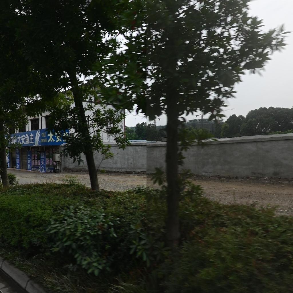 老字号南山太安鱼庄