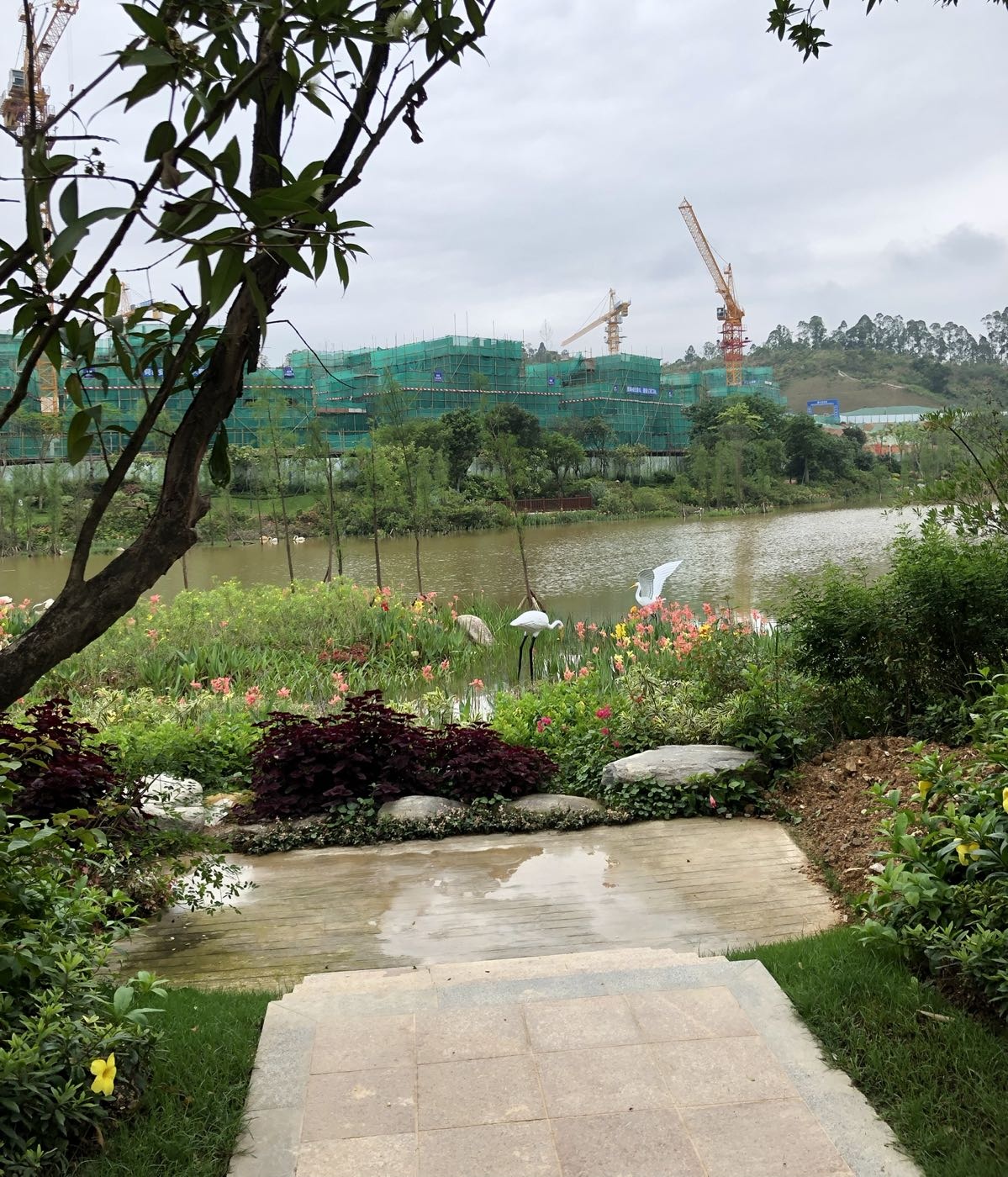 碧桂园润杨溪谷水杉湿地公园