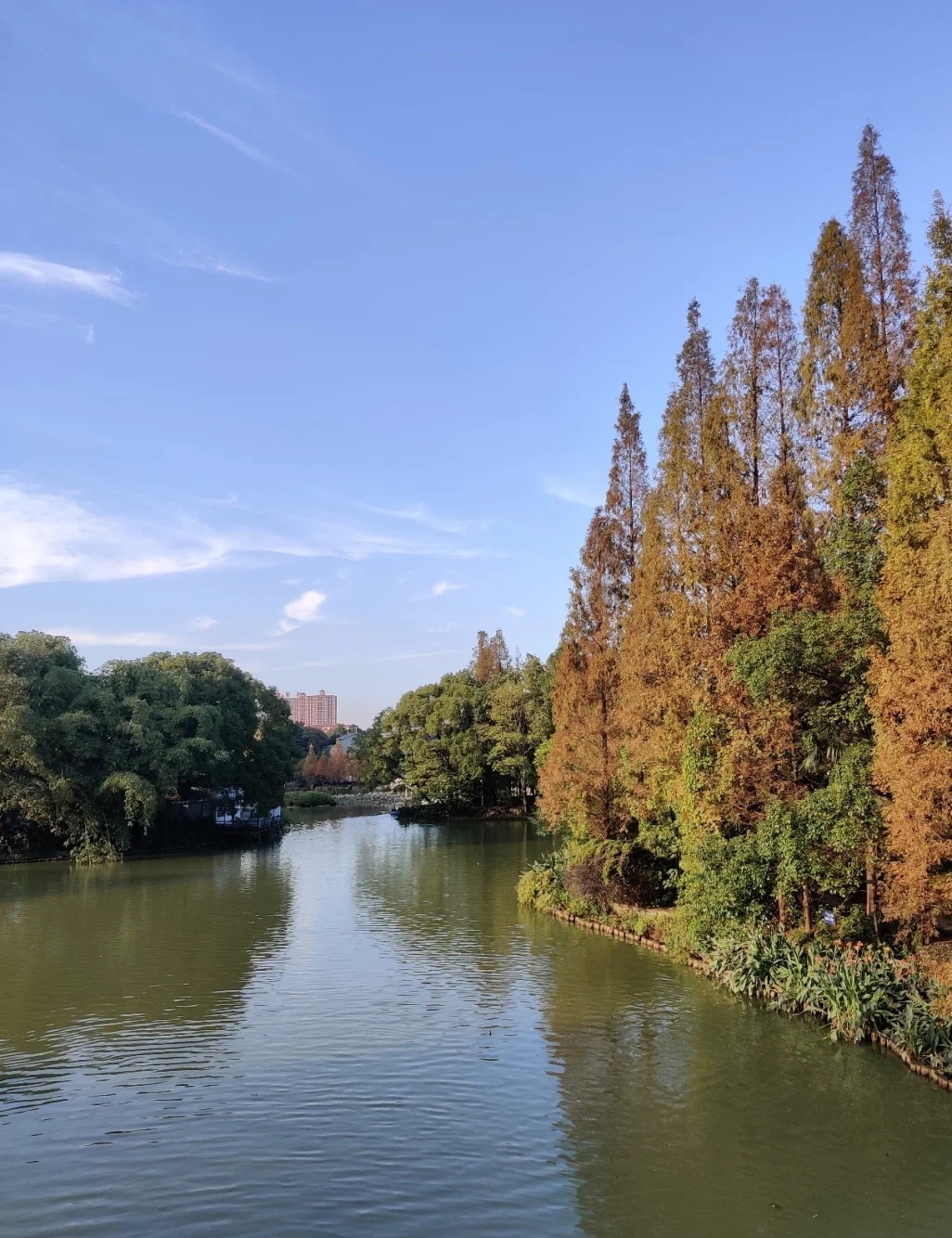 西湖公园