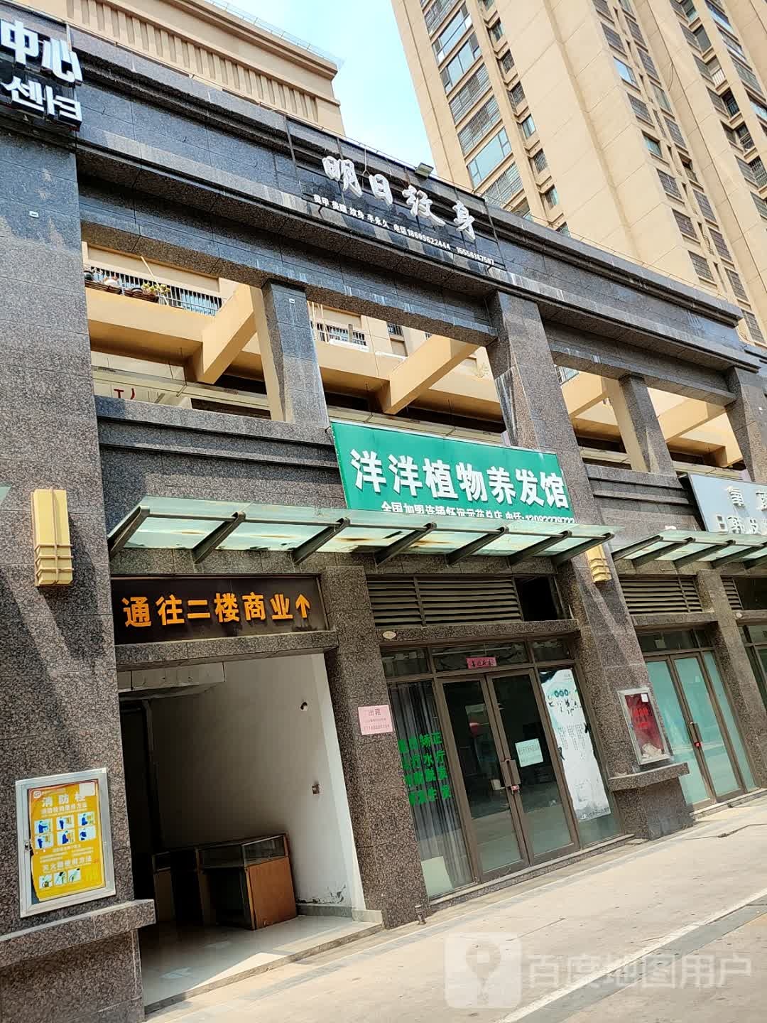 明日纹身