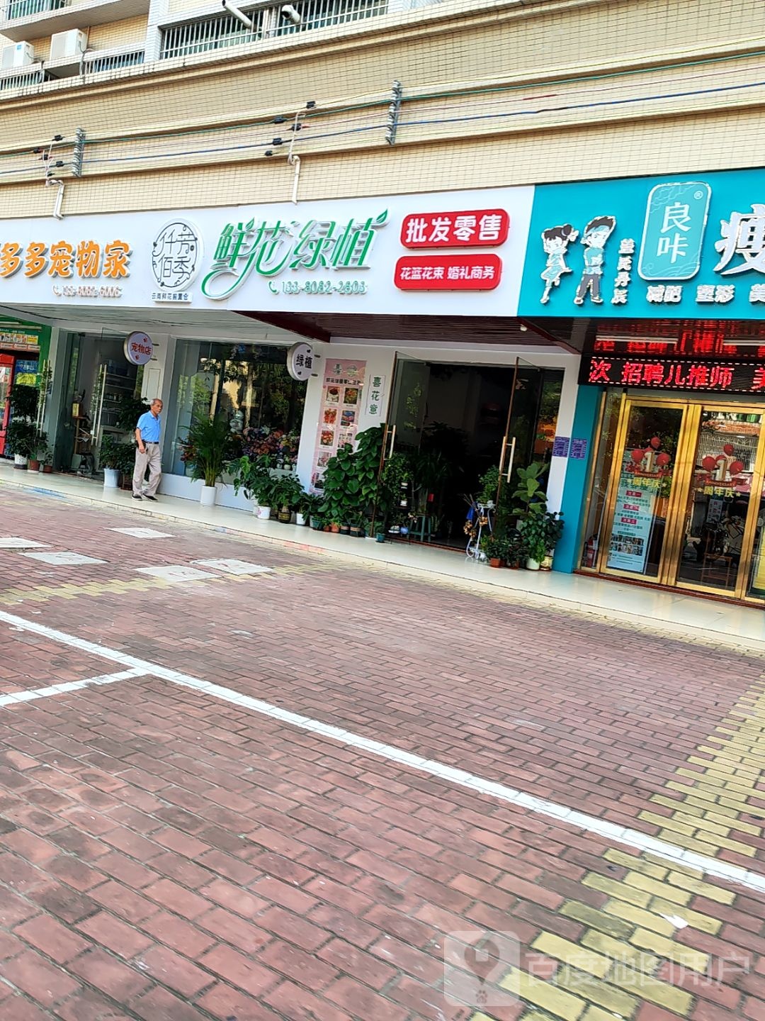 仟芳佰季鲜花绿植批发