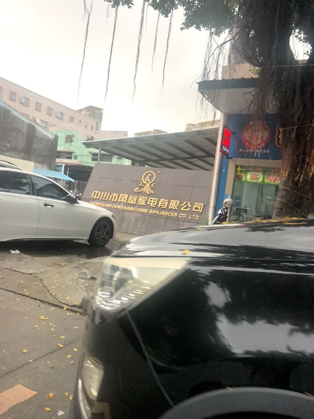 中山市凤凰家电有限公司