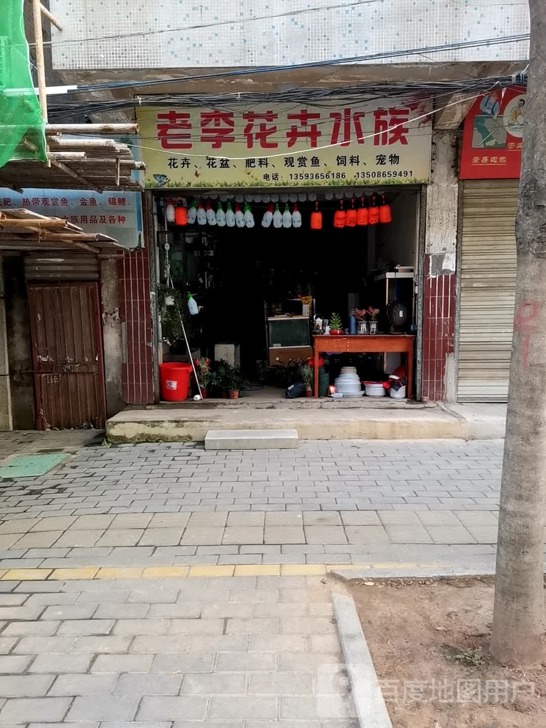 老李花卉水族