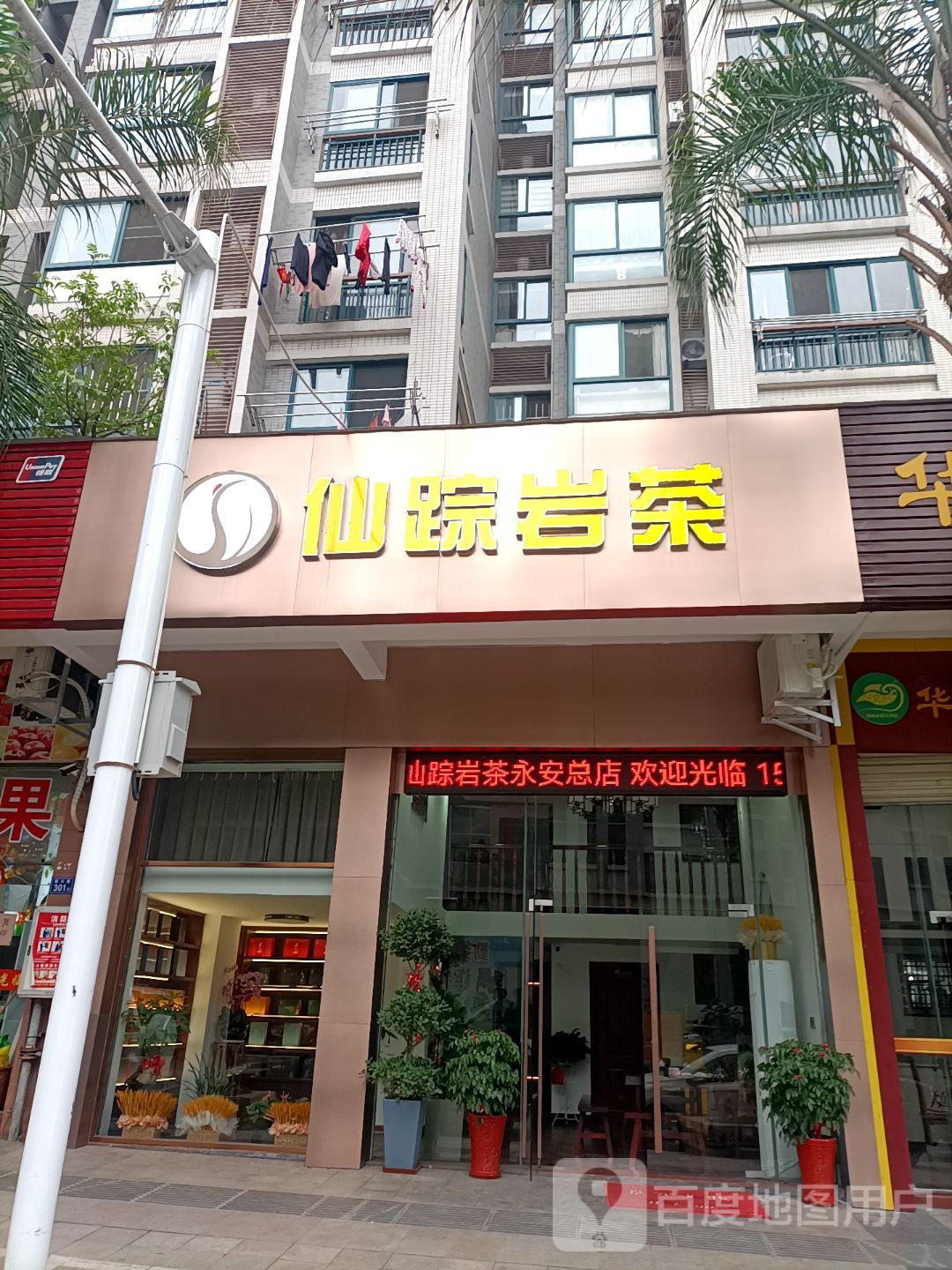 仙踪岩茶