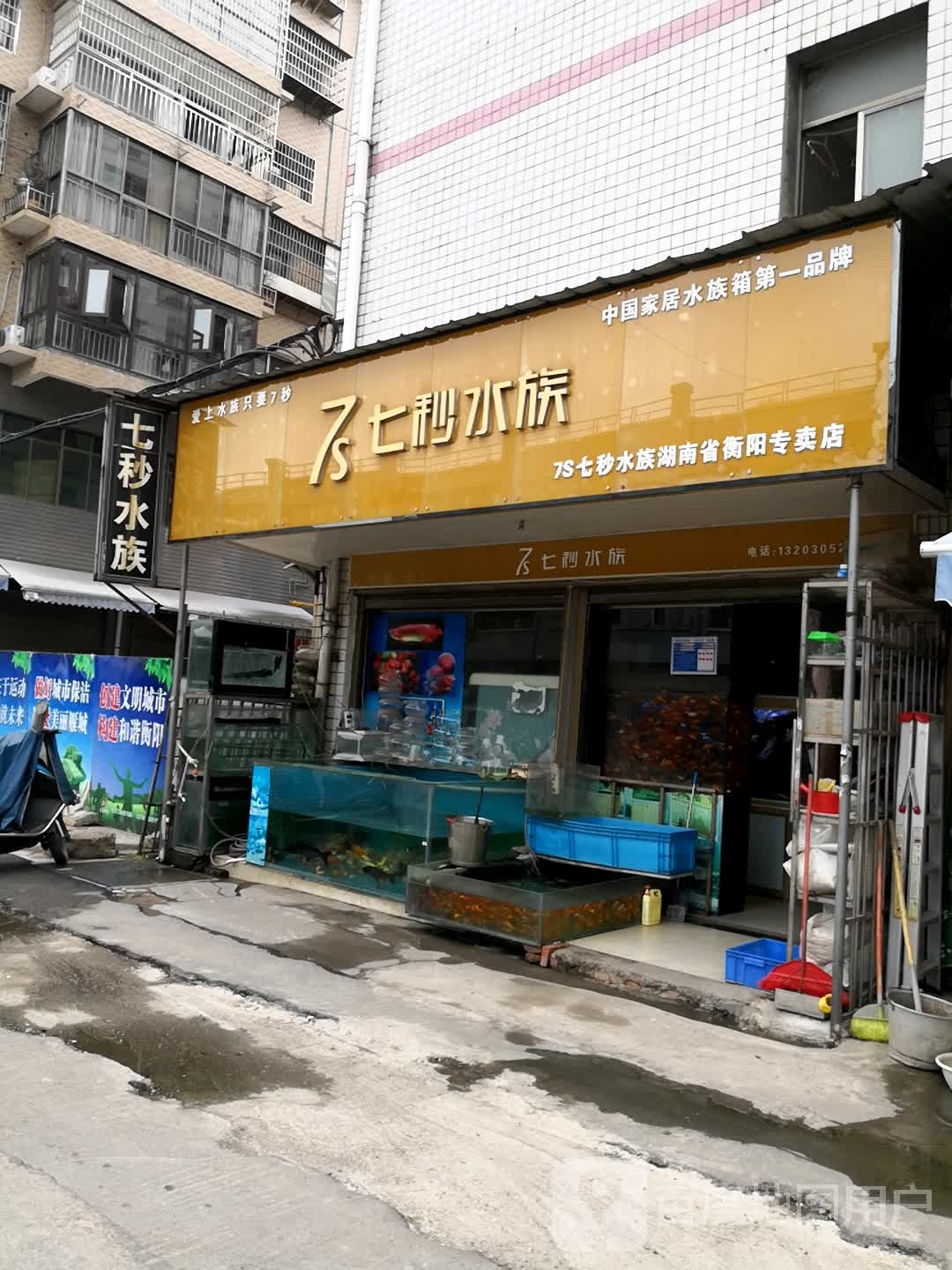 七秒水族(湖南省衡阳专卖店)