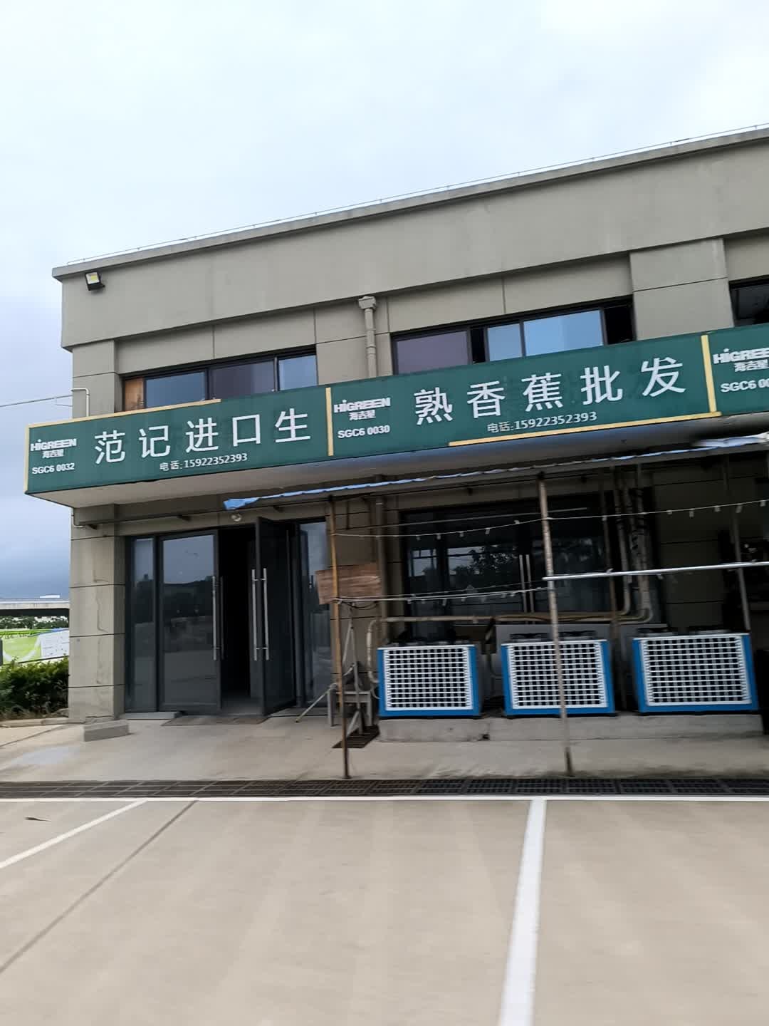 范记香蕉批发