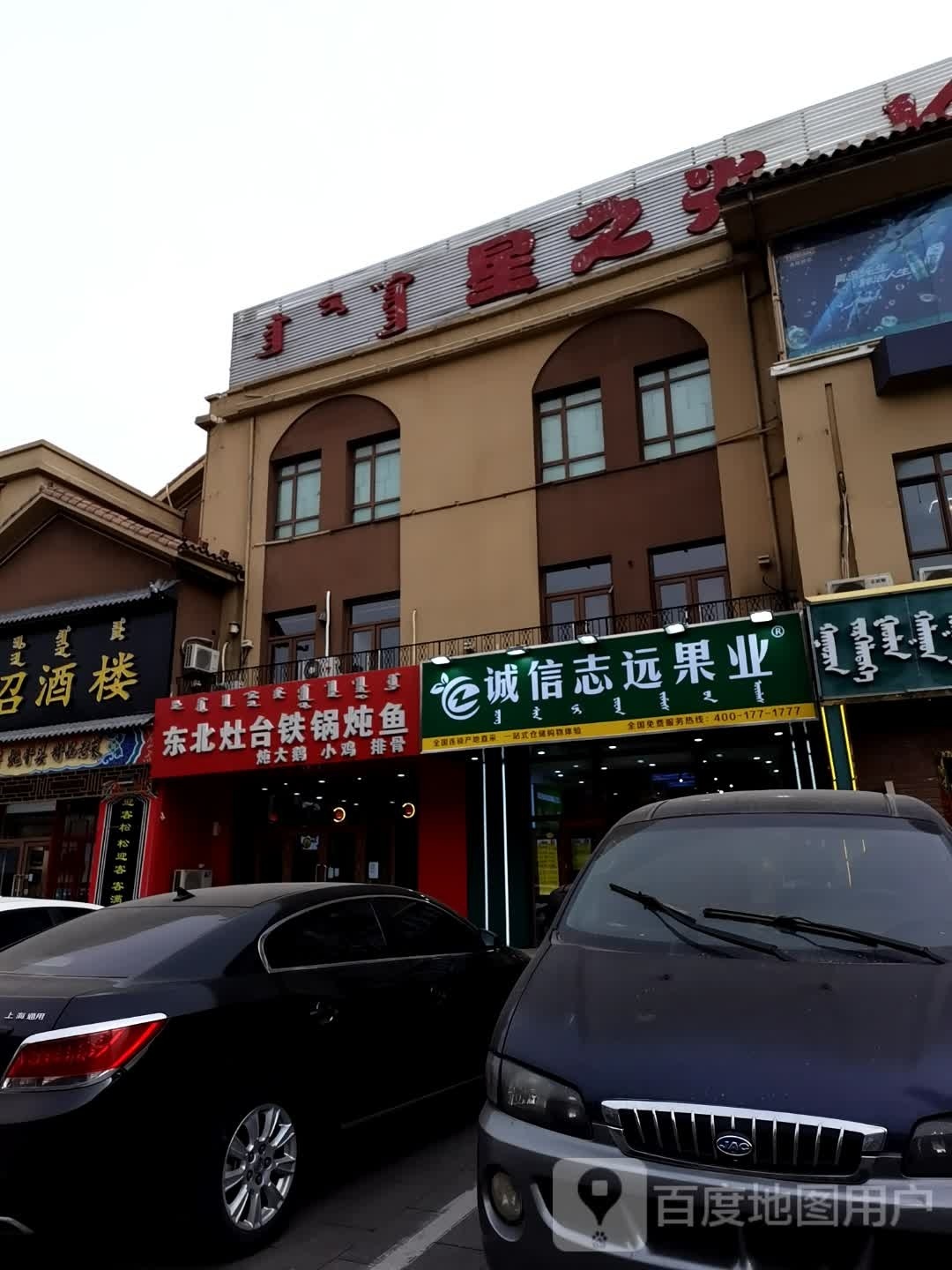 东北灶台铁锅炖鱼(阳光诺卡店)