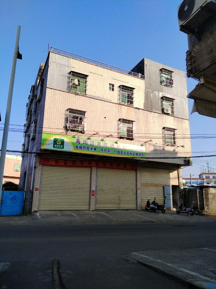 海南佳果优选水果供应链