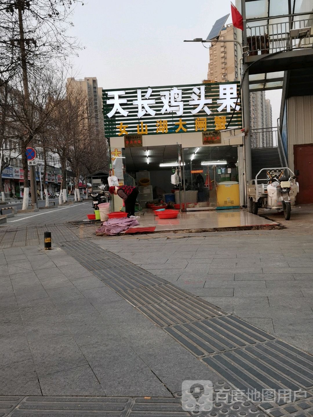 天龙鸡头果