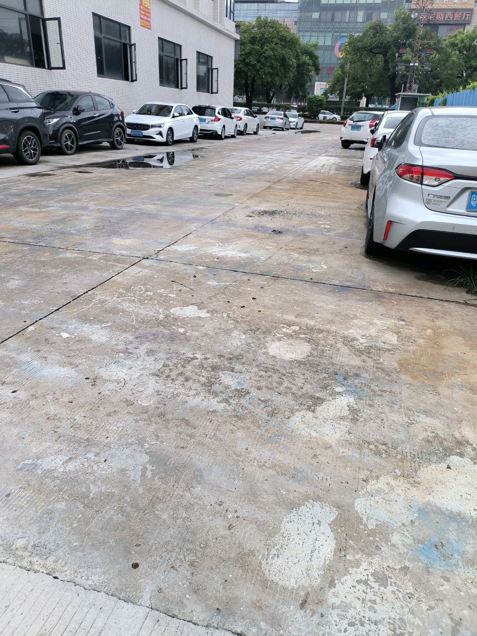 威尼斯西餐厅(宏兴路店)