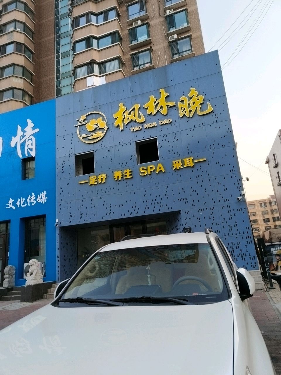 桃花岛抓龙筋变装SPA会所